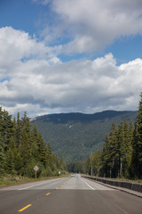 Fototapeta premium Road background in Oregon