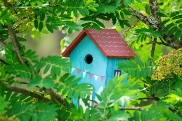 Hanging birdnest