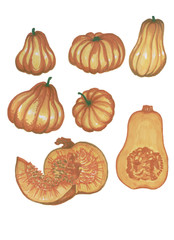 set of pumpkins isolated on white background