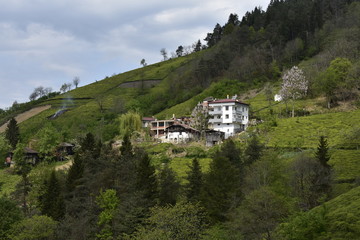 Obraz premium house in the mountains