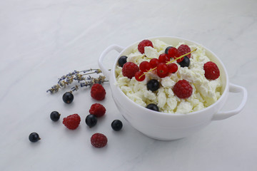 Bowl with cottage cheese and fresh berries on light background