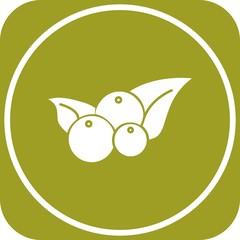 Cherry fruit icon for your project