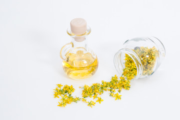 Perforate St John's-wort is very rare and healthy plant