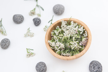 Fresh Yarrows flowers on the white background