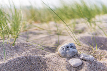 Steine am Strand, Ostsee