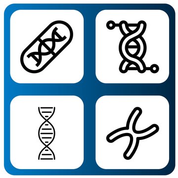 Set of chromosome icons such as Genes, Genetics, Dna, Chromosome , chromosome