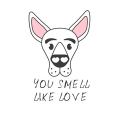 Vector illustration of a stylized dog. Funny inscription. Isolated illustration for print on clothes or childrens books. Pet shop and grooming concept.