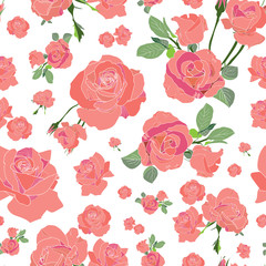 Coral roses on white seamless pattern
