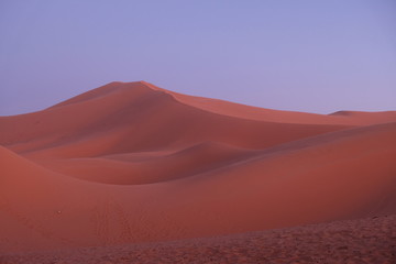 wild brown Sahara Desert sand dunes at sunset with purple blue sky. Saharan, sandy Merzouga in Morocco. simplicity