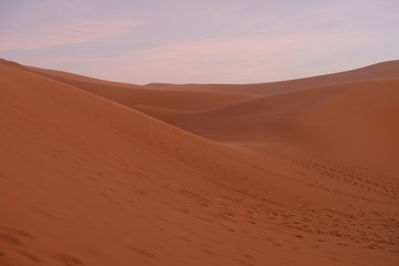 Fototapeta na wymiar brown wide Sahara Desert sand dune slope at sunset evening. Pink cloud sky background. Saharan, sandy near Merzouga in Morocco