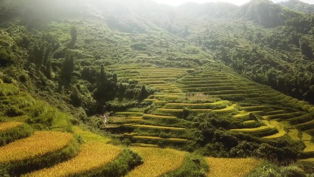 drone dolly in shot over rice terraces, tilting down revealing small stream between rice fields