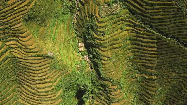 aerial high angle view of Seo My Ty reservoir, rice terraces, tilting up revealing small mountain road