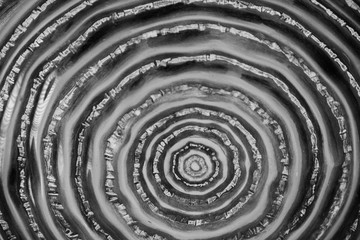Decorative Glazed Glass Plate