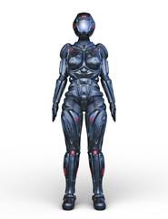 サイバーウーマン