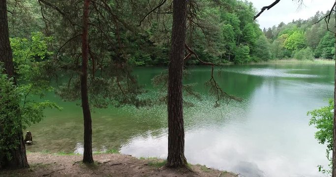 In the middle of the forest I found this