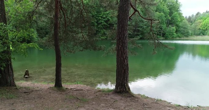 Middle of forest, never seen a green lake