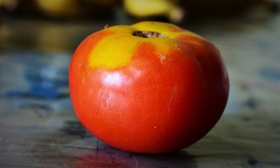 Tomato fruit