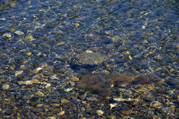 Olympic Halbinsel, Washington