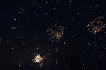 fireworks in the sky. fireworks on the black sky. closeup