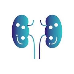 Fototapeta premium kidney icon for your project