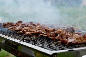 close up delicious barbecue in bamboo sticks on metal grill.  Hot smoke rising. Defocused green grass background. Outdoor barbecue party concept. Soft focus