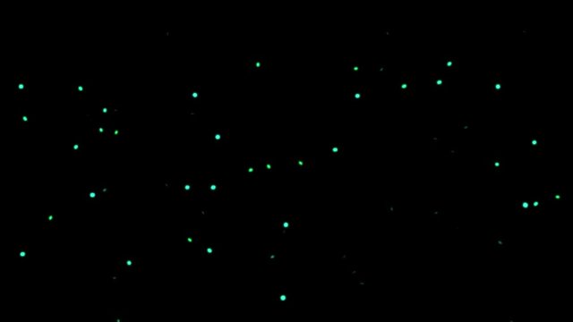 蛍のひかり〜舞　夏の日本の風物詩