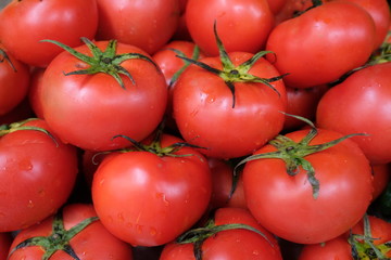 Close up heap of fresh red tomatoes under natural daylight with water drops