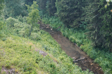 Fototapeta premium river in the gorge. stream between the mountains. forest stream.