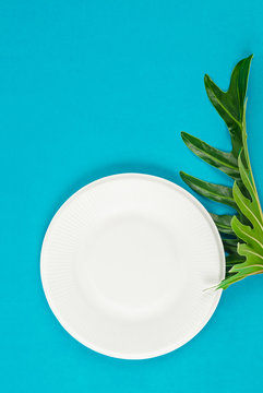 Biodegradable dish dispoable and green leave.