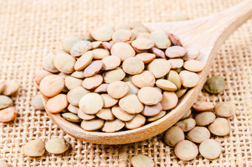 Close up brown lentil seeds on wooden spoon.