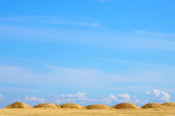 The dunes of the desert. Blue sky background