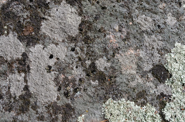 the Seamless old rock texture background closeup