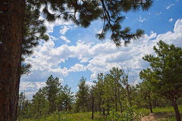 Black Forest Regional Park