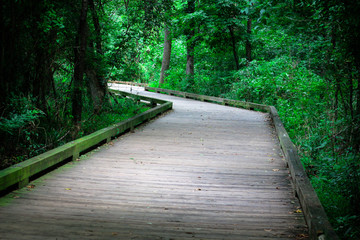 Nature trail Boardwalk 