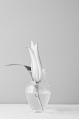 Simple Lily Flower in vase black and white