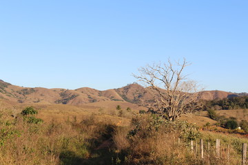 Paisagem