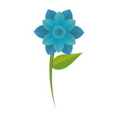 flower tropical spring floral cartoon