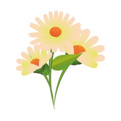 flower tropical spring floral cartoon