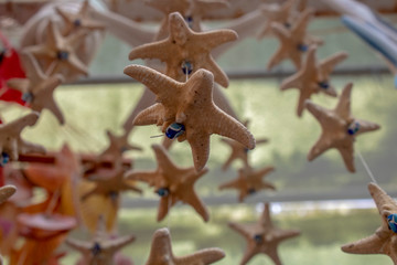 Sea shells handmade ornament handmade. Ayvalik was taken on the island of Cunda.