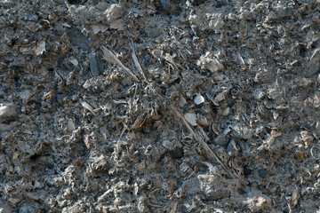 Surface of concrete with sawdust 2