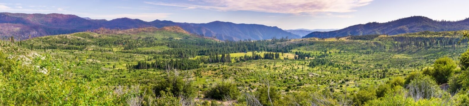 Panoramic view of beautiful green meadows and forests in Yosemite National Park, Sierra Nevada mountains, California