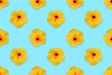 yellow hibiscus flower on pastel color background,  seamless pattern © Ratana21