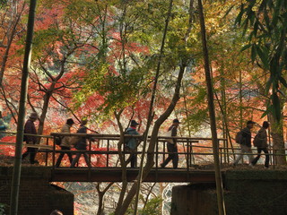 秋公開の愛岐トンネル群　見事な紅葉を眺める人々１