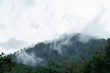 Fog on the mountain after heavy rain in Thailand.