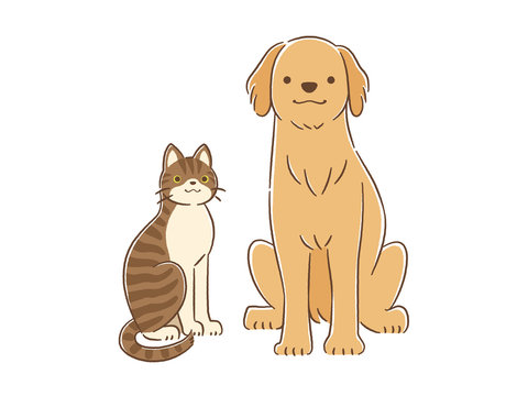 ゴールデン レトリバー Images Browse 4 998 Stock Photos Vectors And Video Adobe Stock