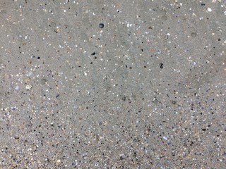 Shells in the sand on the beach background. Beach texture. Sea shells on sand.