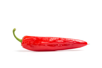 Chilies on a white background