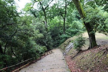 Obraz premium 滋賀 風景