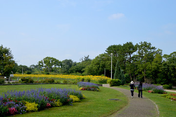 Fototapeta na wymiar 夏の花が咲き誇る花壇がある公園の風景