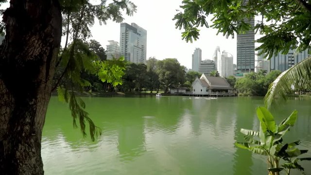 Looking at a house across the river in a public park.